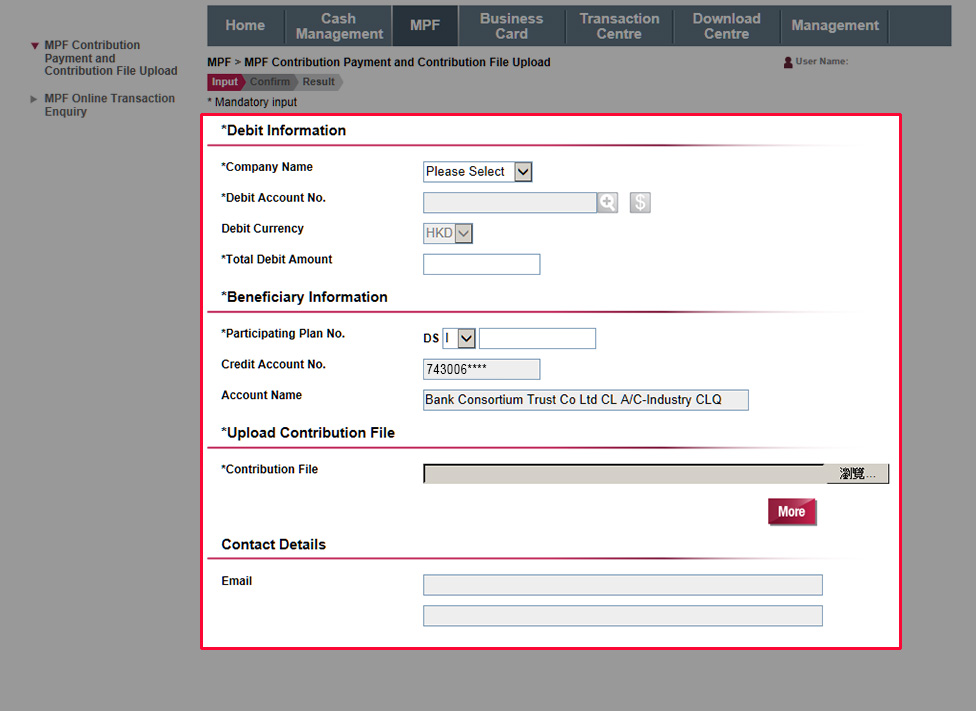 Enter the debit accounts, MPF Participating Plan information, amount and other information.