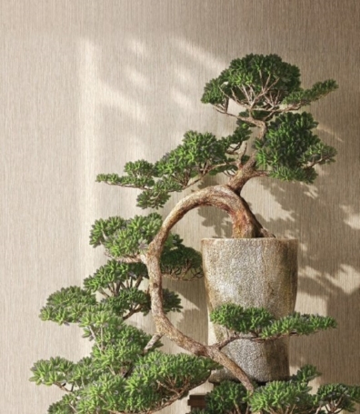 永譽傳承儲蓄計劃客戶優惠